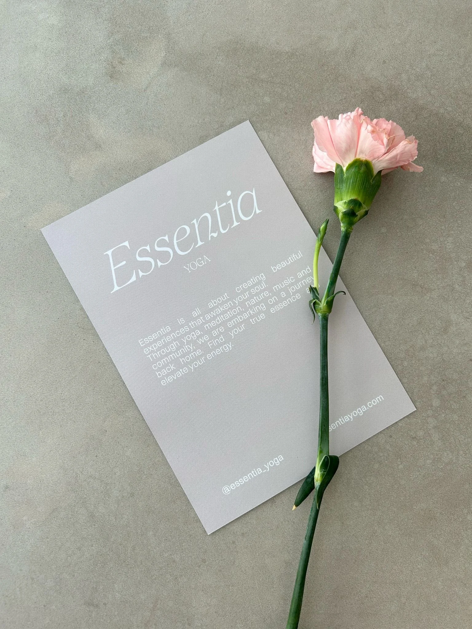 Essentia+Flyer